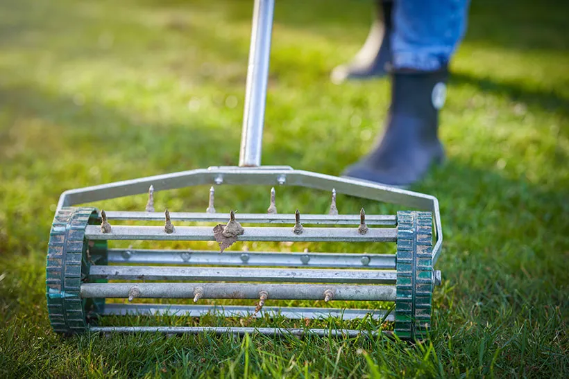 Aerating Your Lawn: The Key to Stronger, Healthier Grass